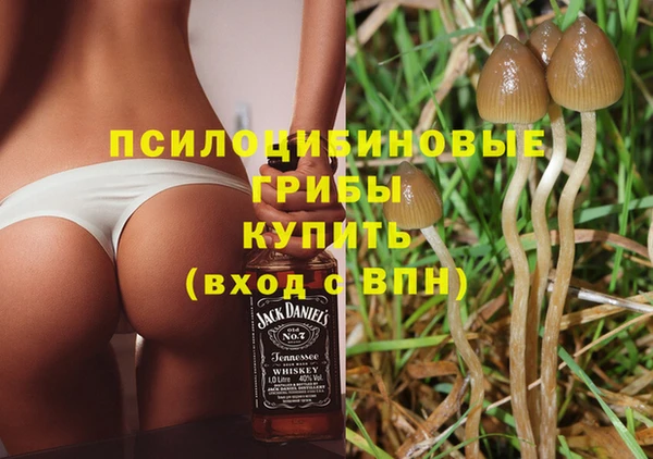 метадон Заволжье